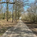Am Tillysee In *