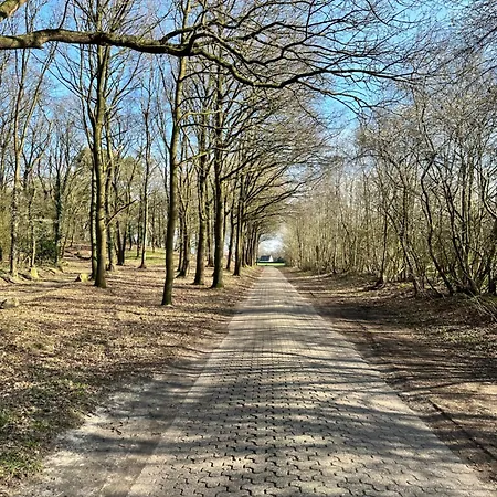 Stilvolle Ferienwohnung Am Tillysee Nahe Oldenburg *