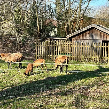 Stilvolle Ferienwohnung Am Tillysee Nahe Oldenburg Wardenburg